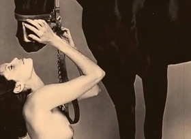 Top Twenty Babes With Pets