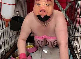 Fuckpig porn justafilthycunt discreditable degradation pig pissing caged piss drinking with the addition of eating from bowls