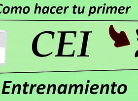 JOI - Instrucciones para tu reader CEI. En español.